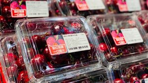 50万吨车厘子涌入中国,你的车厘子自由实现了吗?