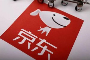 原物竞天择负责人 出任京喜拼拼河南先遣队负责人