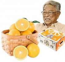 今年橙子这么便宜,为什么褚橙还那么贵?