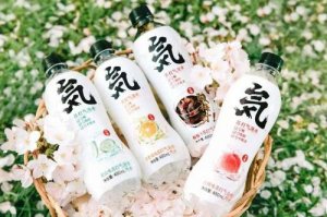 元气森林:出圈容易长红难