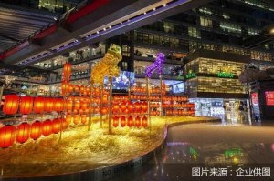 “就地过年”催生商场热 会员运营成重头戏