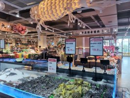 �г�����ֻܾ�Ӧ�����Ź��ͼ���������һ���Ӵ�������