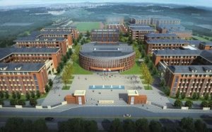 探索新发展模式 电商走上绿色转型之路