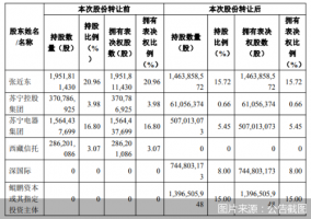 苏宁易购引入国有战略投资 张近东仍为第一大表决权股东