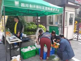 团长佣金变低了