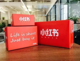 透视小红书:没有围墙的社区