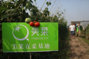 美菜网,一场尴尬的颠覆故事