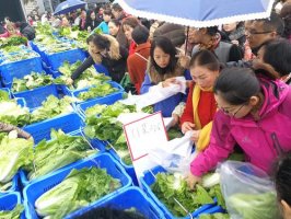 社区团购“狂飙” 盒马鲜生“失宠”?