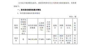 张近东所持5.8%苏宁易购股份被司法冻结
