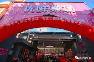 每日优鲜探路菜场连锁化