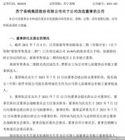 董事会换血 苏宁静待新掌门