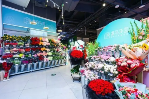 盒马鲜生卖花 “白菜花坊”是搅局者还是颠覆者?