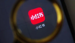小红书扎堆直播电商,年轻人还够分吗?