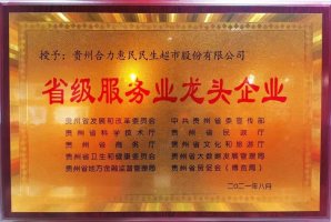 贵州合力荣获2021年“省级服务业龙头企业”