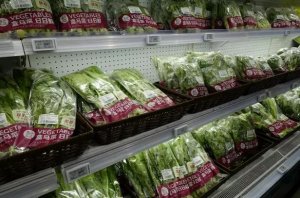 阿里巴巴淘菜菜发布“本地菜”计划