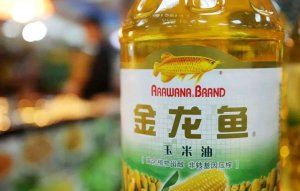 金龙鱼四十亿净利润,撑得起三千亿市值吗
