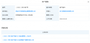 西安钟楼中环银泰申请破产清算