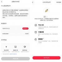 持续动刀电商,小红书能否走出围城?