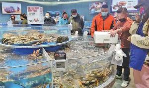 盒马鲜生上海长宁4家门店已恢复线下营业