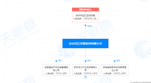 苏宁易购在安徽投资成立供应链管理公司