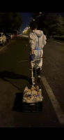 ���ݺ�����ͬ��ս���Ե�������Ա���쵱�ȷ�