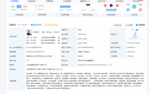 洋码头被强制执行334万元