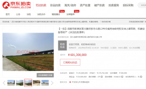 成都一仓储用地在京东拍卖以超6亿元拍出
