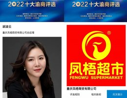胡凌云荣获2022年度十大渝商个人第三名