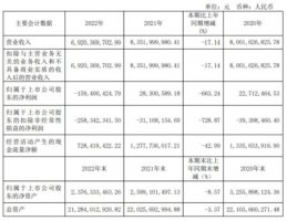 欧亚集团:2022年净亏损1.59亿元