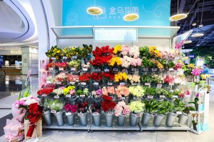 ���󻨿�����Ѱ�����ռҡ�������600Ķ��������塰ר����ҩ�������֡���
