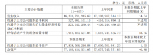 百联股份:上半年营收163.32亿元,核心业务多有增长