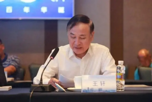中国中免选举王轩为董事长